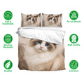 Ragdoll cat bedding set presentation with matching cat pillowcases and care feature icons