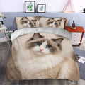 Ragdoll cat duvet cover bedding styled in a calm bedroom with matching cat pillowcases