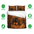 Bloodhound bedding set shown with matching pillowcases and a realistic brown dog portrait design