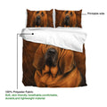 Bloodhound duvet cover artwork with matching pillowcases and a close-up realistic dog portrait