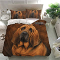 Bloodhound bedding set presented in a bright bedroom with matching dog portrait pillows