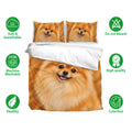 Pomeranian bedding set shown with a cheerful fluffy dog design and soft bedroom styling