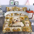 Havanese duvet cover set styled in a bedroom with sunflower artwork, rustic panels, and coordinated pillowcases