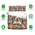 American Bulldog bedding set shown with matching pillowcases and a colorful patterned duvet cover