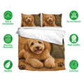 Labradoodle bedding set shown with matching pillowcases, soft breathable fabric icons, and a paw print design