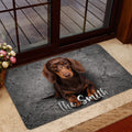 Dachshund door mat displayed near a glass entry door in a welcoming home setting