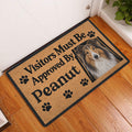 Rough Collie entryway doormat displayed on a warm wood floor beside a front door