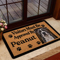 American Staffordshire entryway rug displayed beside a glass door in a welcoming home entrance