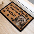 Long-haired dog portrait doormat positioned beside a doorway with paw-print accents