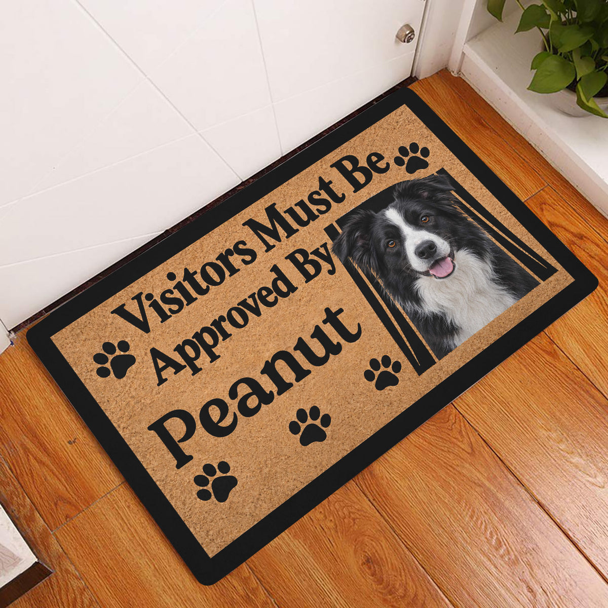 Border Collie entryway doormat displayed on a wood floor beside a white door and houseplant