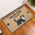 Tuxedo cat doormat displayed in an indoor entryway beside a white door and wood floor