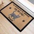 Gray cat entryway mat positioned near a doorway on light wood flooring