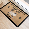 Ragdoll cat door mat positioned near an interior doorway with paw print accents