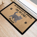 Gray British Shorthair cat door mat styled in a bright home entrance