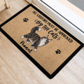 Maine Coon entryway mat featuring a fluffy cat illustration and black paw prints near a doorway