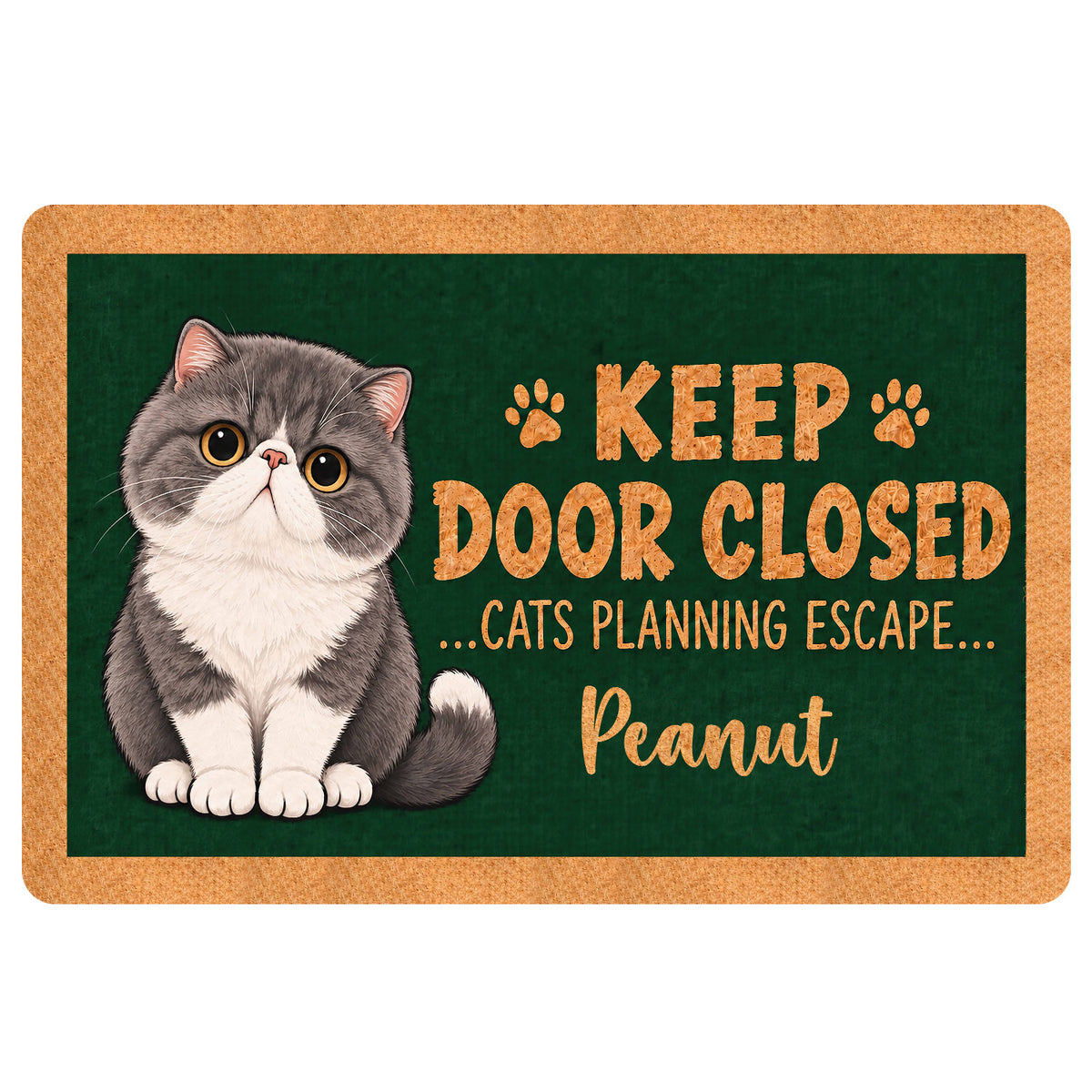 Exotic Shorthair cat doormat with paw prints and playful keep door closed entryway message