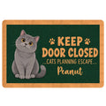 British Shorthair cat doormat with playful paw prints and a dark green entryway design
