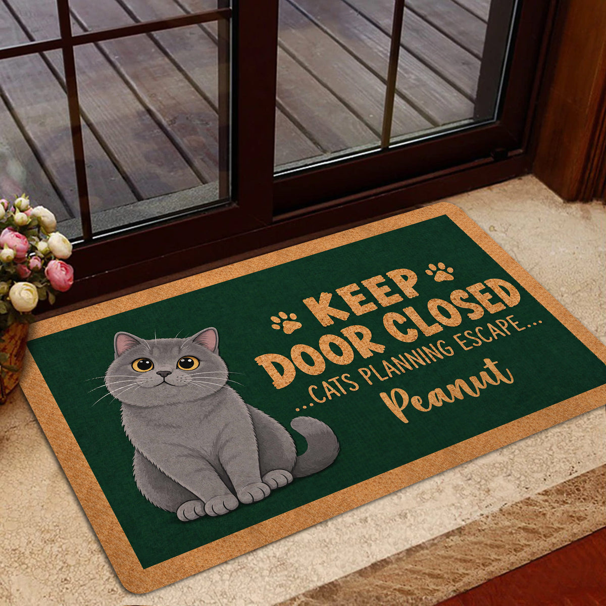 British Shorthair cat entryway mat shown beside a glass door in a home entrance
