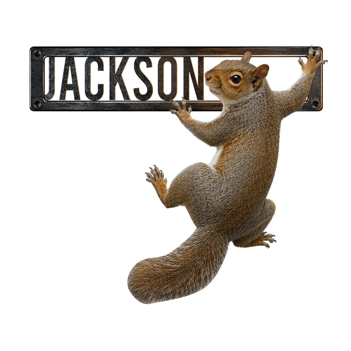 Detailed squirrel metal sign featuring a realistic climbing squirrel and bold framed artwork