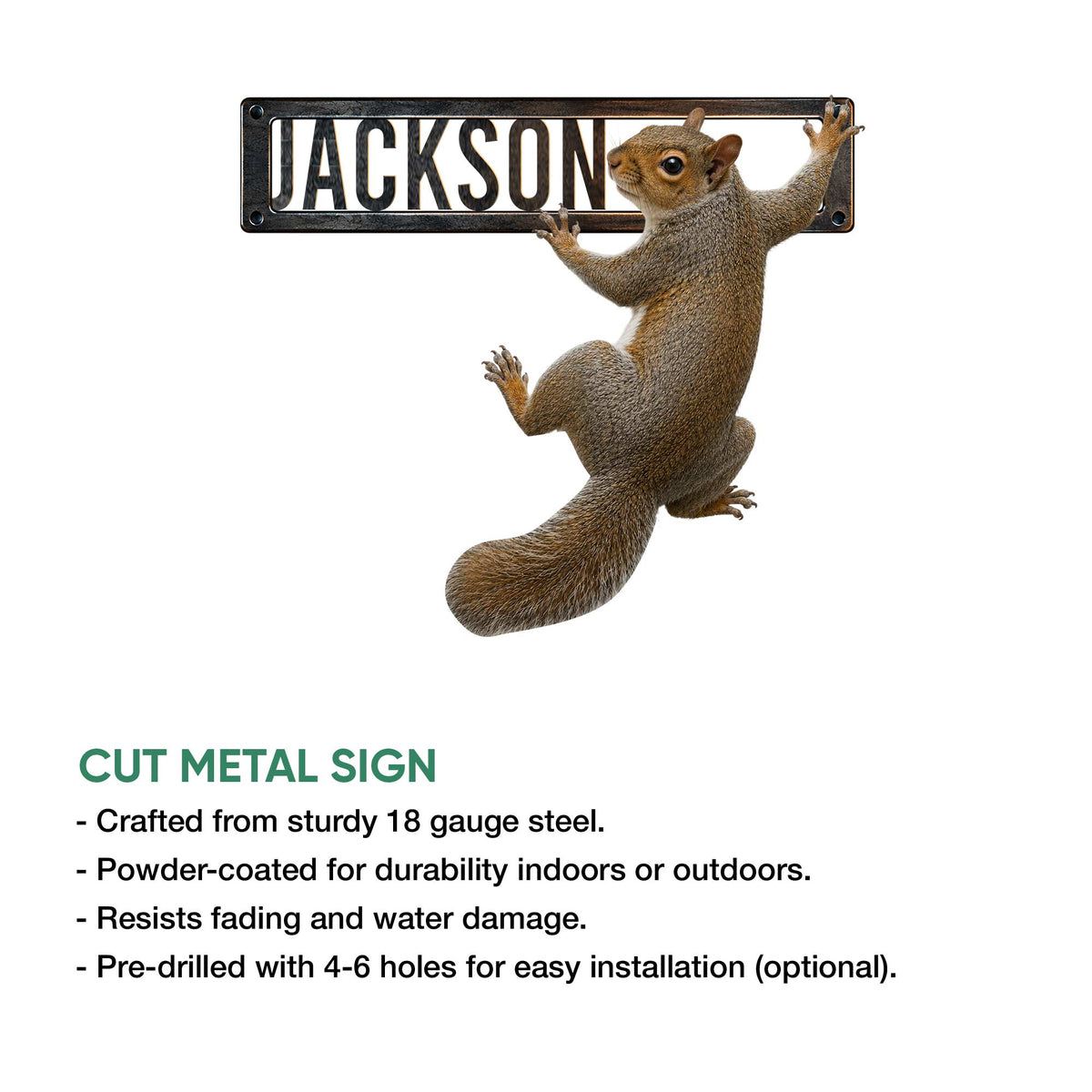 Squirrel metal sign product feature showing the climbing animal design and cut metal construction