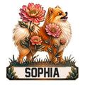 Floral Pomeranian metal sign featuring two fluffy dogs surrounded by colorful flowers and decorative foliage