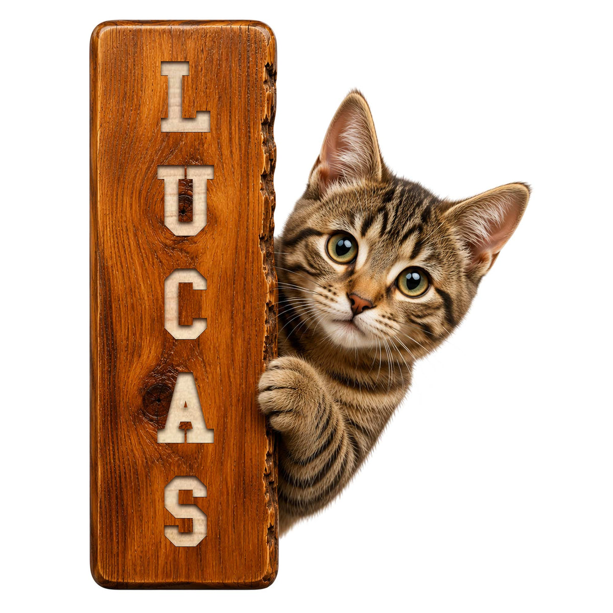 Custom tabby cat metal sign featuring a curious kitten peeking around a rustic wood-look vertical plaque