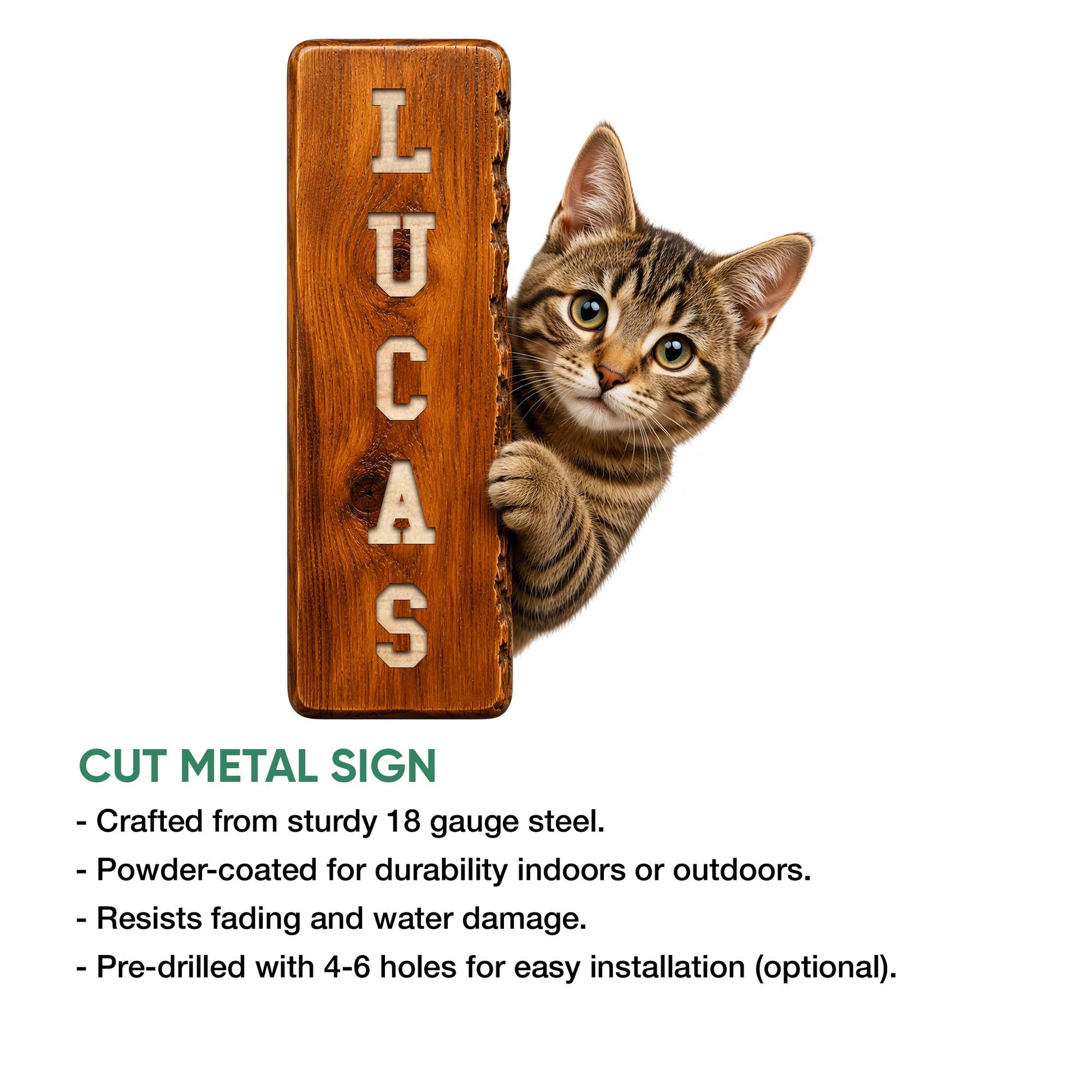 Tabby cat metal sign feature graphic showing a kitten peeking from a wood-look plaque