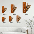 Tabby cat metal sign size guide showing available square sizes from 8 by 8 to 24 by 24 inches