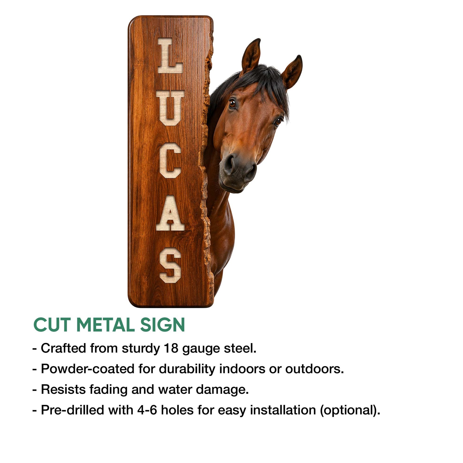 Horse metal sign feature graphic showing a realistic horse emerging beside a rustic wood-look plank