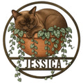 Custom Burmese cat metal sign featuring a sleeping brown cat in a planter with trailing vines