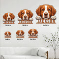 Brittany Spaniel metal sign size guide showing available square sizes from 8x8 to 24x24 inches