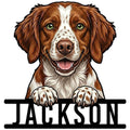 Detailed Brittany Spaniel portrait metal sign featuring a happy brown and white dog peeking over a bold base
