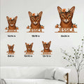 Abyssinian cat metal sign size guide showing available dimensions from 8 by 8 to 24 by 24 inches