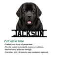Newfoundland dog metal sign feature graphic showing the portrait design and cut-metal silhouette