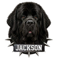 Detailed Newfoundland Dog metal sign featuring a black dog portrait, spiked collar, and bold industrial design