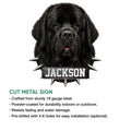 Newfoundland Dog cut metal sign with a realistic black dog portrait and dramatic spiked collar artwork