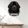 Newfoundland Dog wall sign displayed on a light paneled wall in a modern home entryway