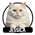 Cream Persian cat metal sign with vivid blue eyes, fluffy fur, round black frame, and bold plaque design