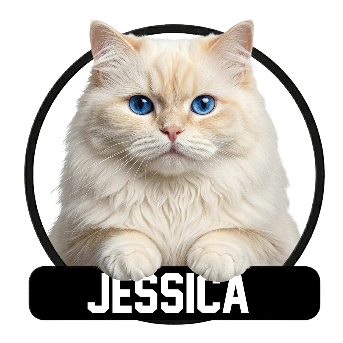 Cream Persian cat metal sign with vivid blue eyes, fluffy fur, round black frame, and bold plaque design