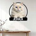 Persian cat metal wall sign displayed on a light wood-paneled wall above a console table