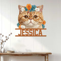 Exotic Shorthair cat wall sign displayed on a white paneled wall above a console table