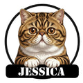 Exotic Shorthair cat metal sign featuring a wide-eyed tabby cat resting its paws over a black plaque