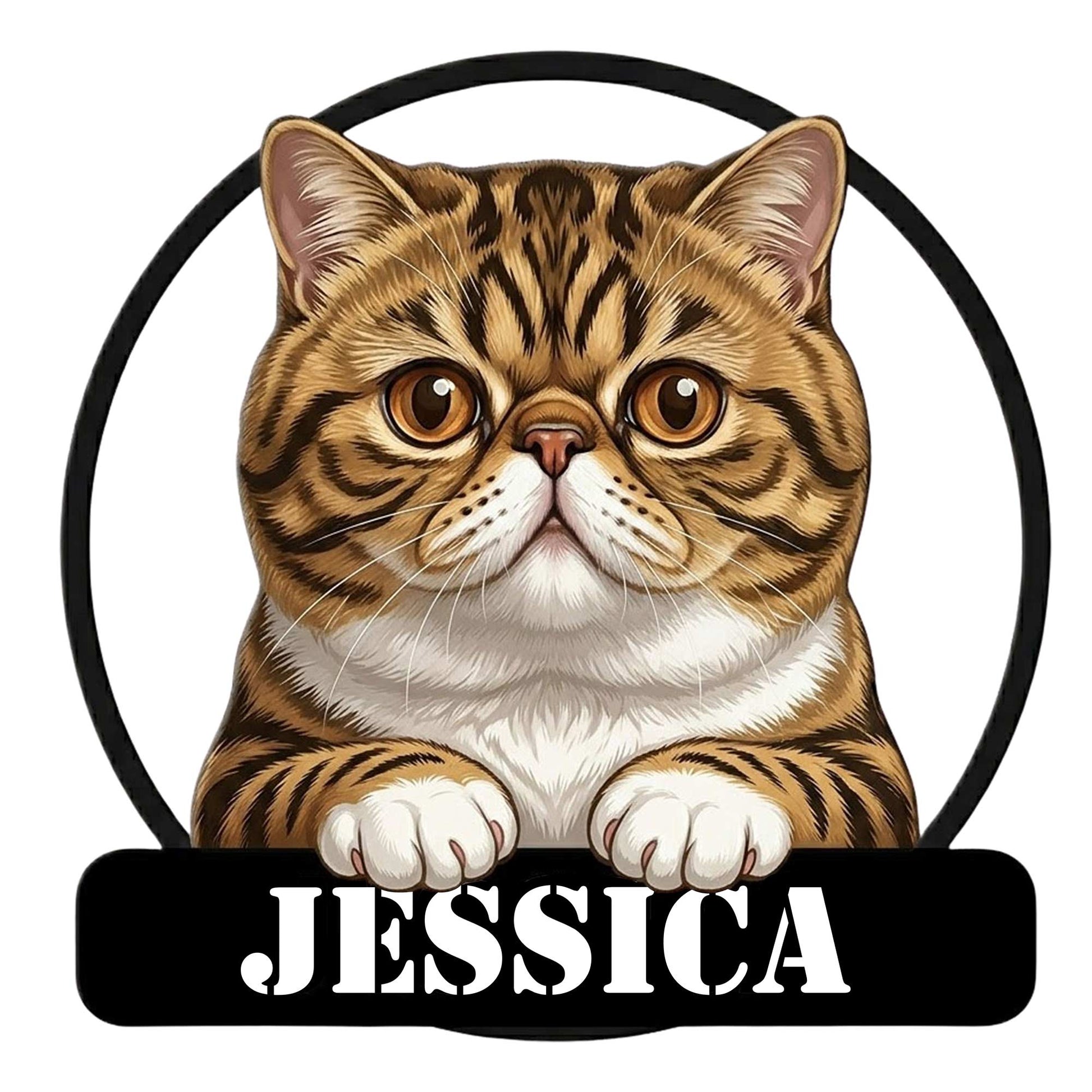 Exotic Shorthair cat metal sign featuring a wide-eyed tabby cat resting its paws over a black plaque