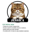 Exotic Shorthair cat metal sign shown in a product feature infographic with a bold circular frame