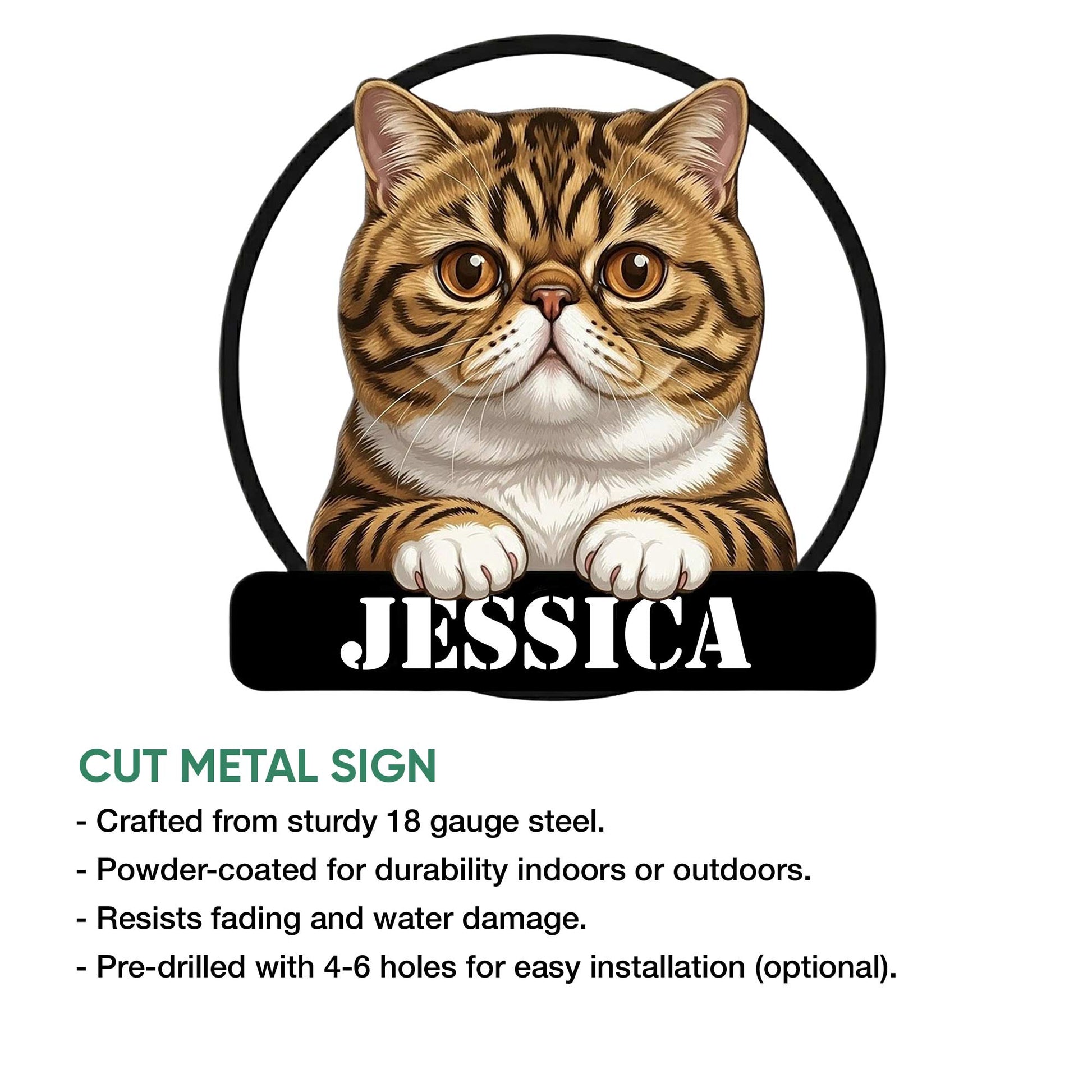 Exotic Shorthair cat metal sign shown in a product feature infographic with a bold circular frame