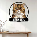 Exotic Shorthair cat wall sign displayed against white paneling above a rustic console table
