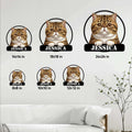 Exotic Shorthair cat metal sign size guide showing several square size options in a living room setting