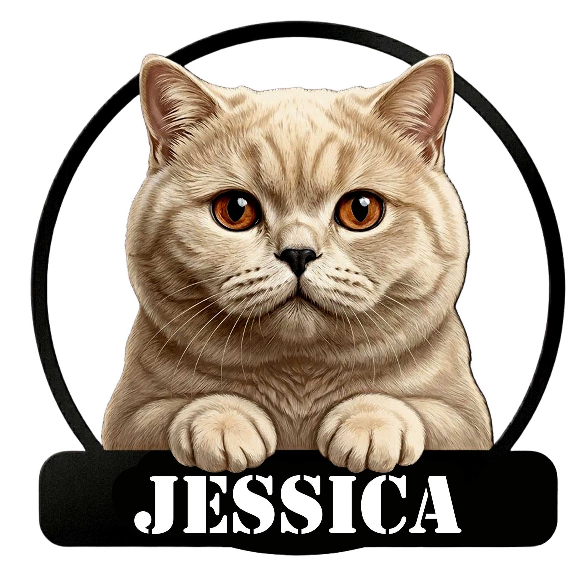 Custom British Shorthair metal sign featuring a realistic front-facing cat portrait in a circular frame