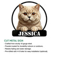 British Shorthair cat metal sign shown with a cut-metal design and sturdy wall decor presentation