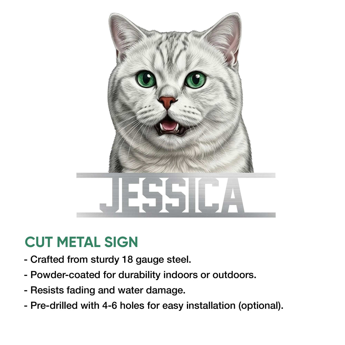 British Shorthair metal sign product graphic showing the cat portrait and cut-metal sign design